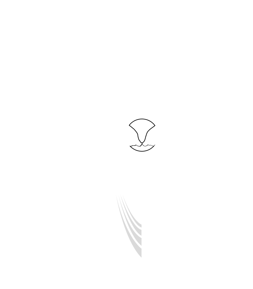 Red Bull Stratos Logo Lines